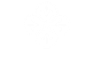 Palagetto siti internet grafica social network corpore identity