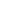 Segis siti internet grafica social network corpore identity